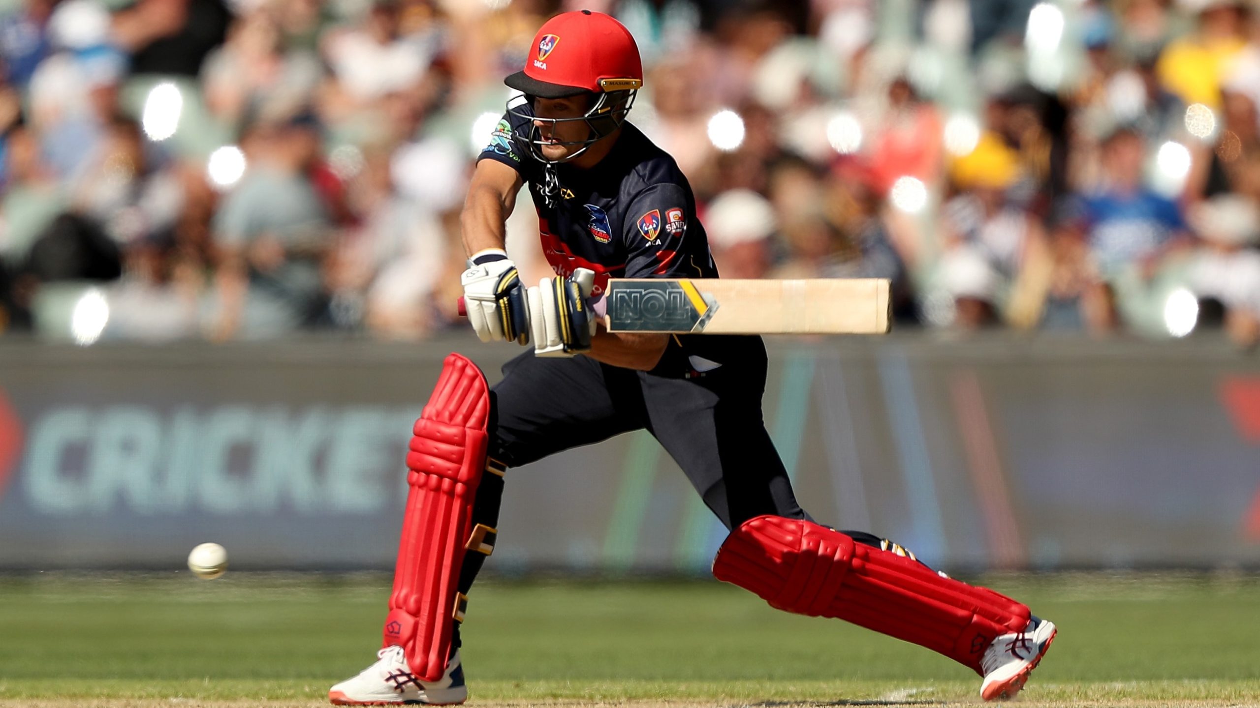 Cricket and football, hand in glove | AFL Players' Association Limited